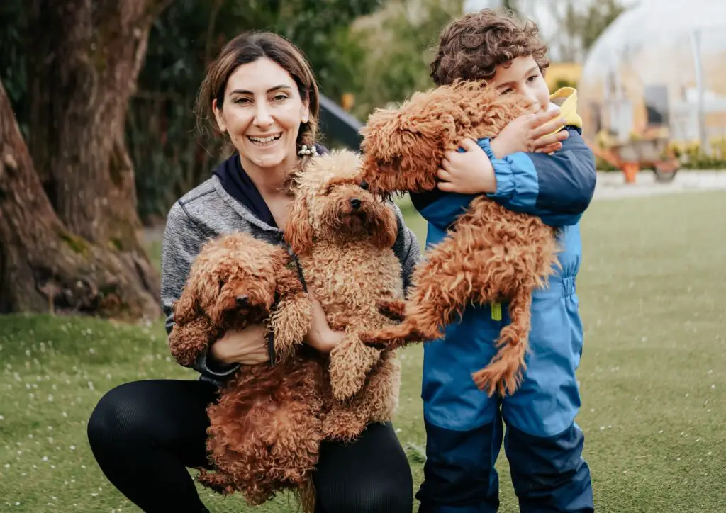 Cachorros gostam de abraços?